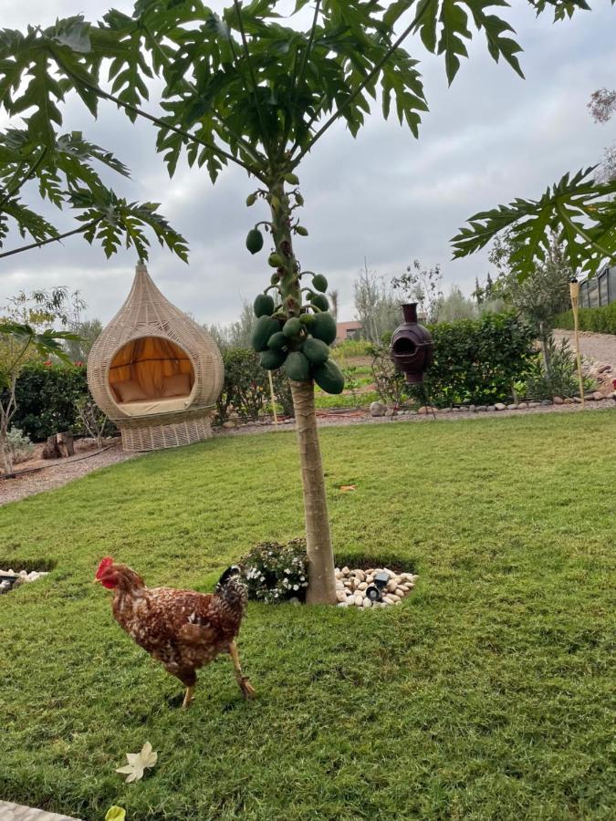 Farm stay La Vida Agadir