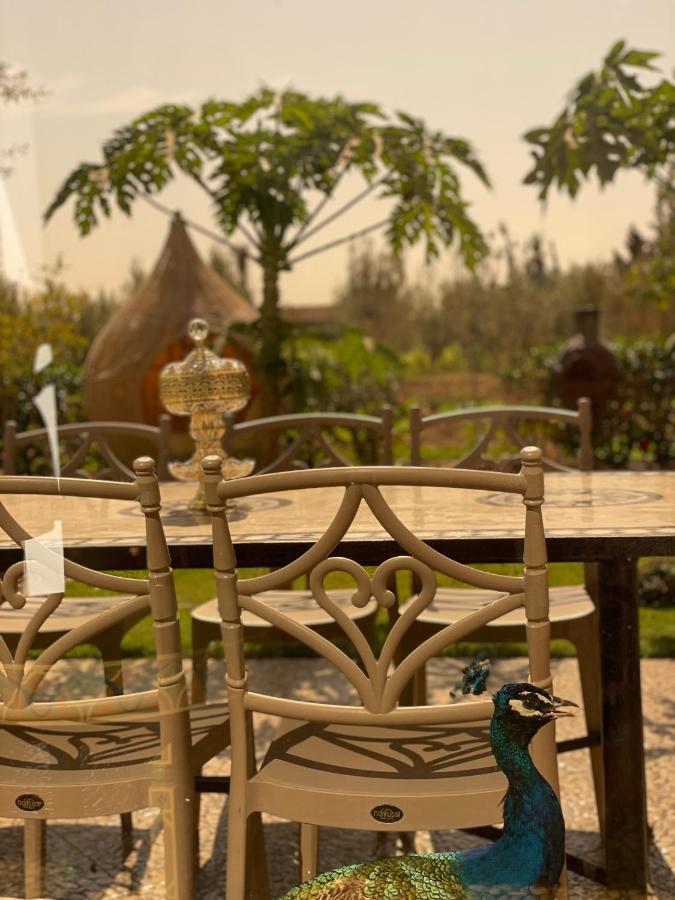 La Vida Farm stay Agadir
